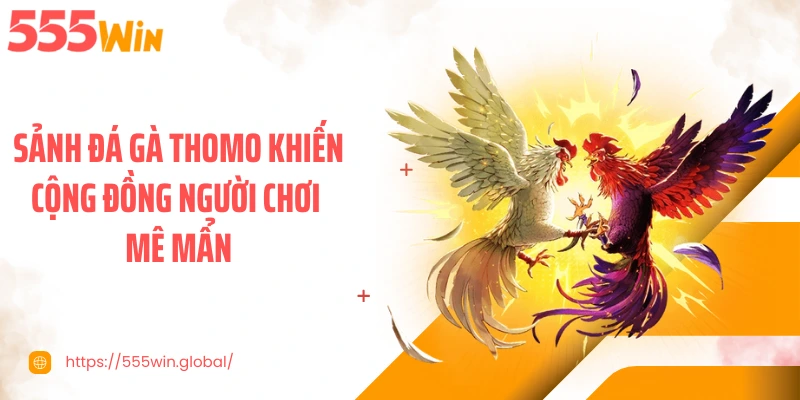 Sảnh đá gà Thomo khiến cộng đồng người chơi mê mẩn